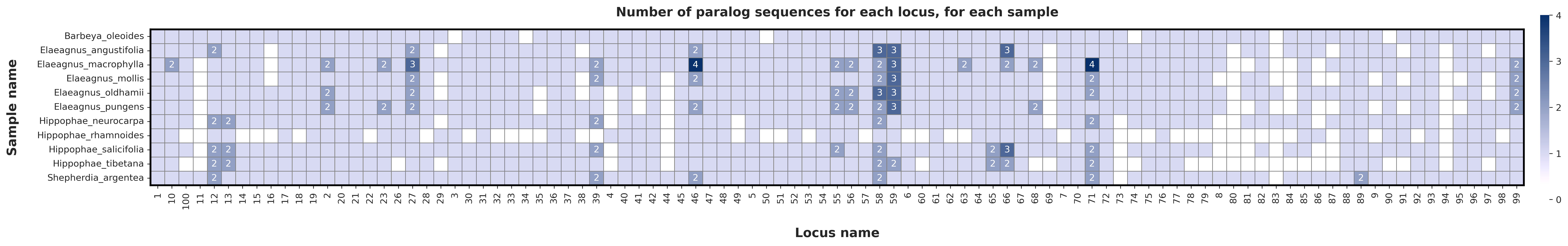 test_dataset-paralog_heatmap_blue_color