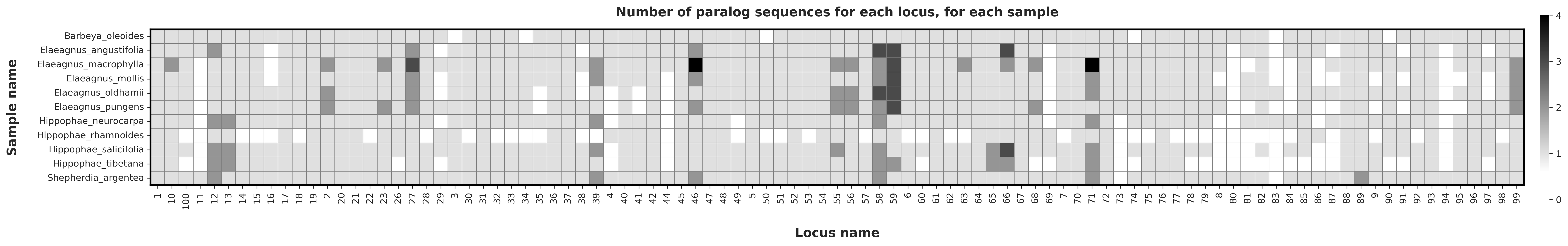test_dataset-paralog_heatmap_no_value