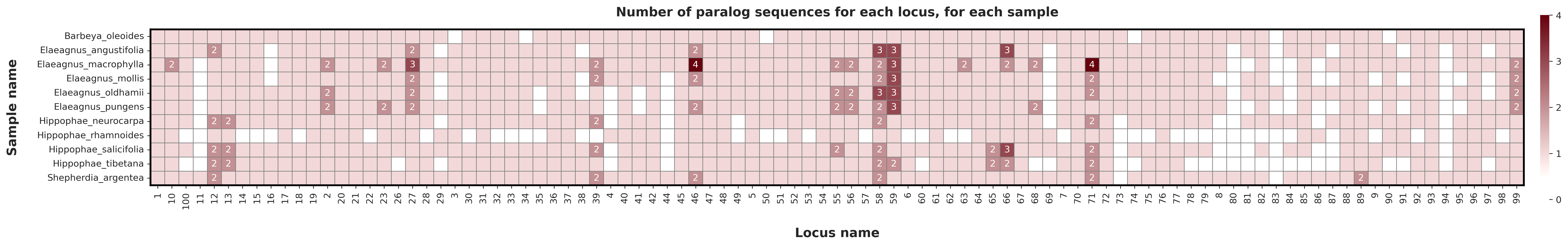 test_dataset-paralog_heatmap_red_color